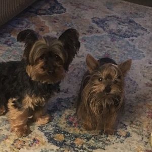 Meet your Posher, Kim